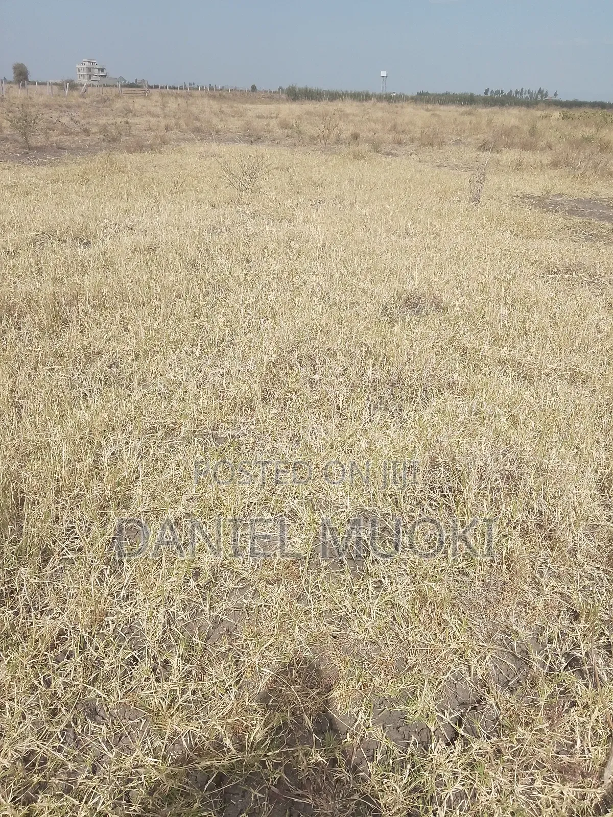 Plot on Sale
