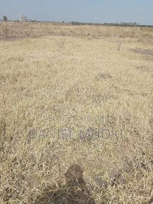 Plot on Sale