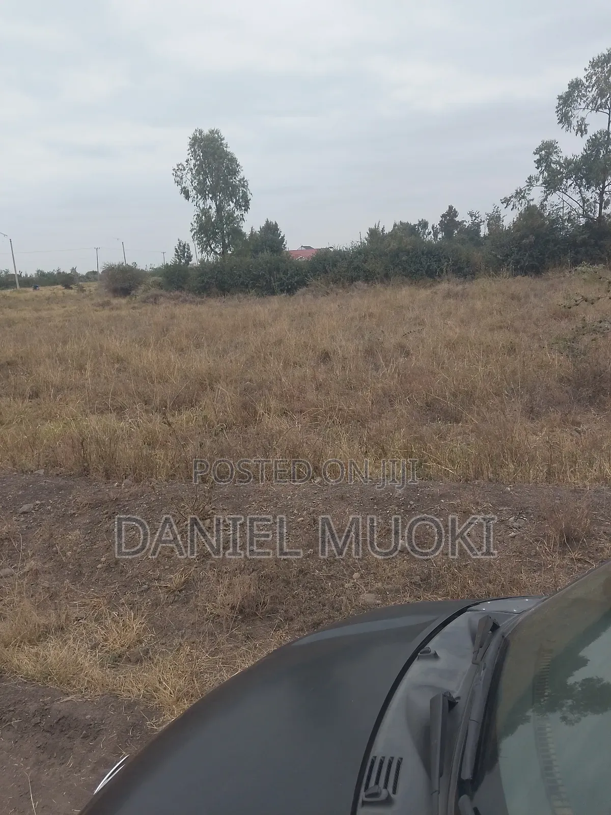 Plot on Sale