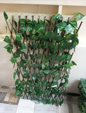 Wall And Interior Decorating Expandable Fence
