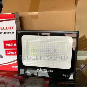 Efficiency High Lumen Output Ip65 Outdoor Floodlight 100w Light High