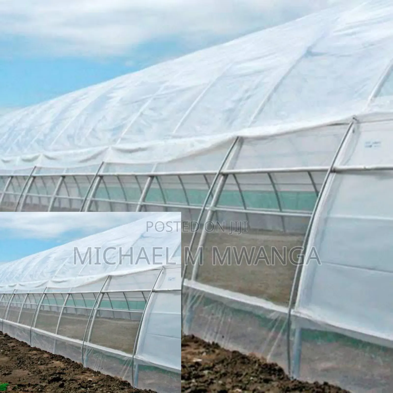 Insect Nets 2.5 X50