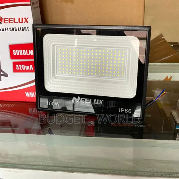 Optic Lens Led Security Lights Outdoor Ip66 Floodlight 100w