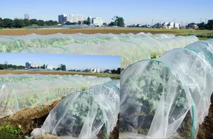 Insect Nets