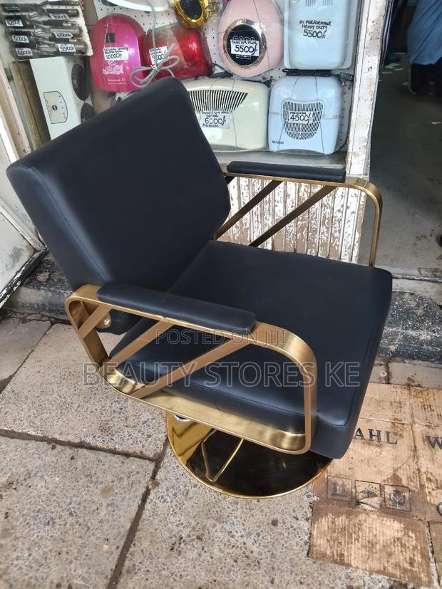 Black Gold Hair Salon Styling Seats Adjustable