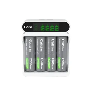 Caisi Smart LCD Battery+ Charger Kit Brand New Sealed