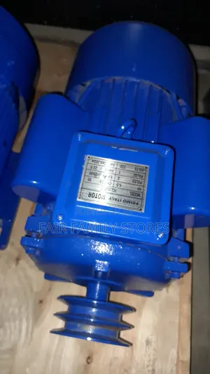 Primo Italy Electric Motor