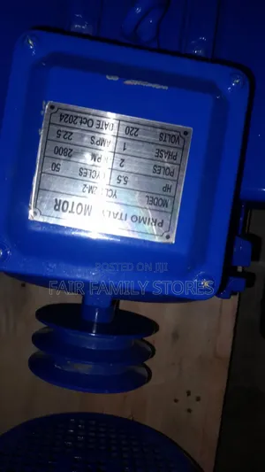 Primo Italy Electric Motor