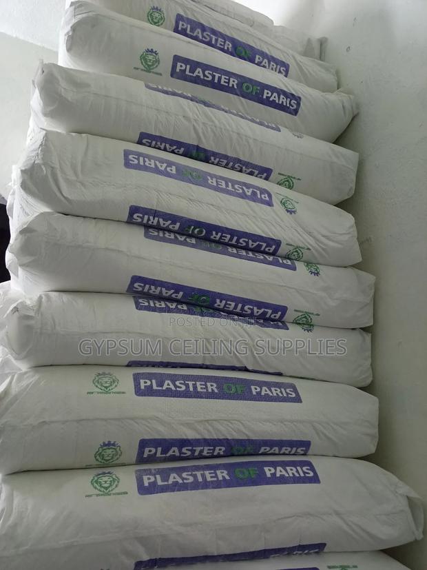 Plaster of Paris - thumbnail 2