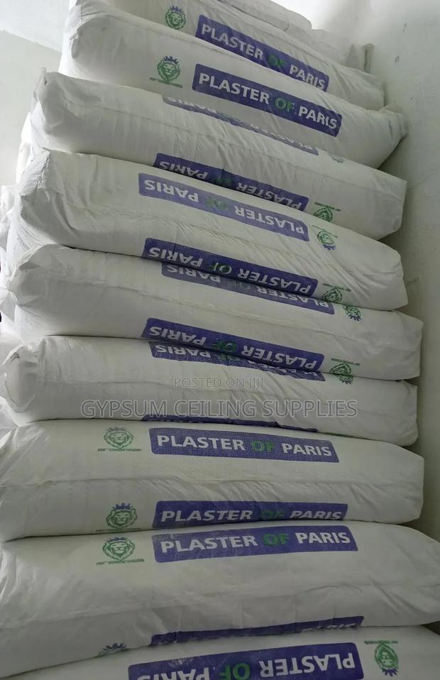 Plaster of Paris
