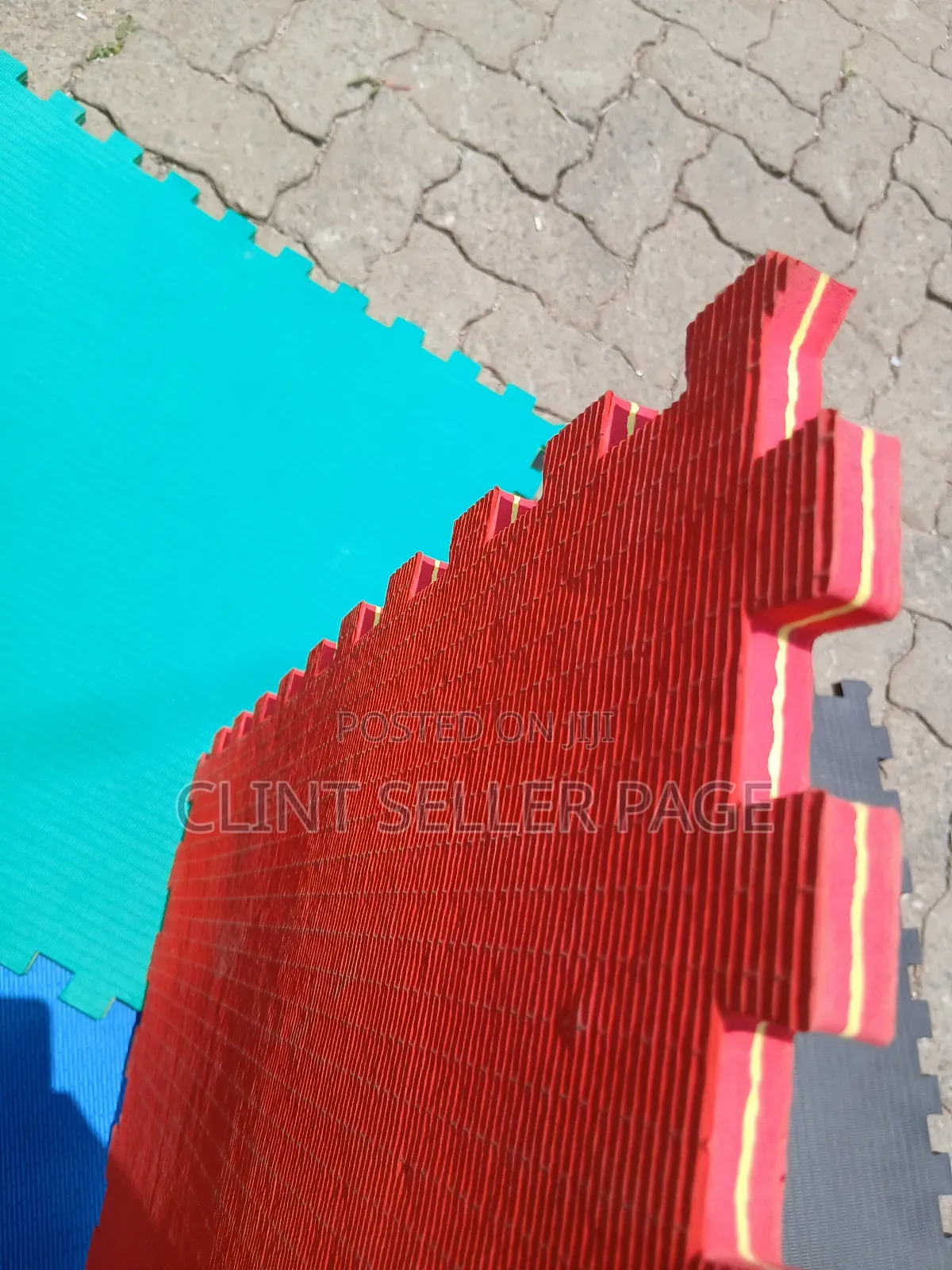 Play Mats / Gym Mats