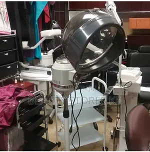 Hair Steaming Machine With Stand