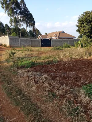 50*100 Plot
