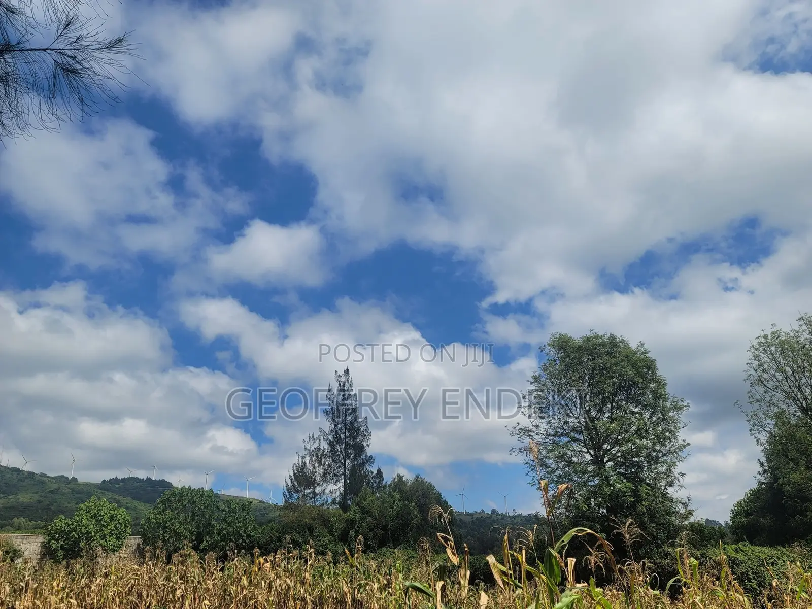 Land for Sell in Ngong