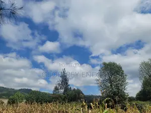 Land for Sell in Ngong
