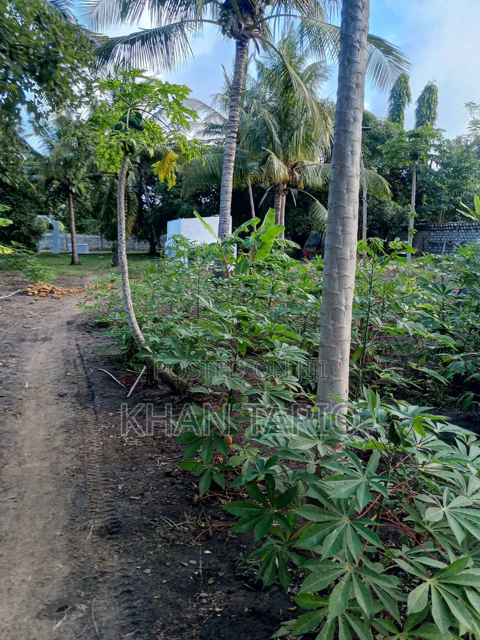 1 Acre Shamba ( Farm With Complete Proper Swahili House ) 40 Millions.