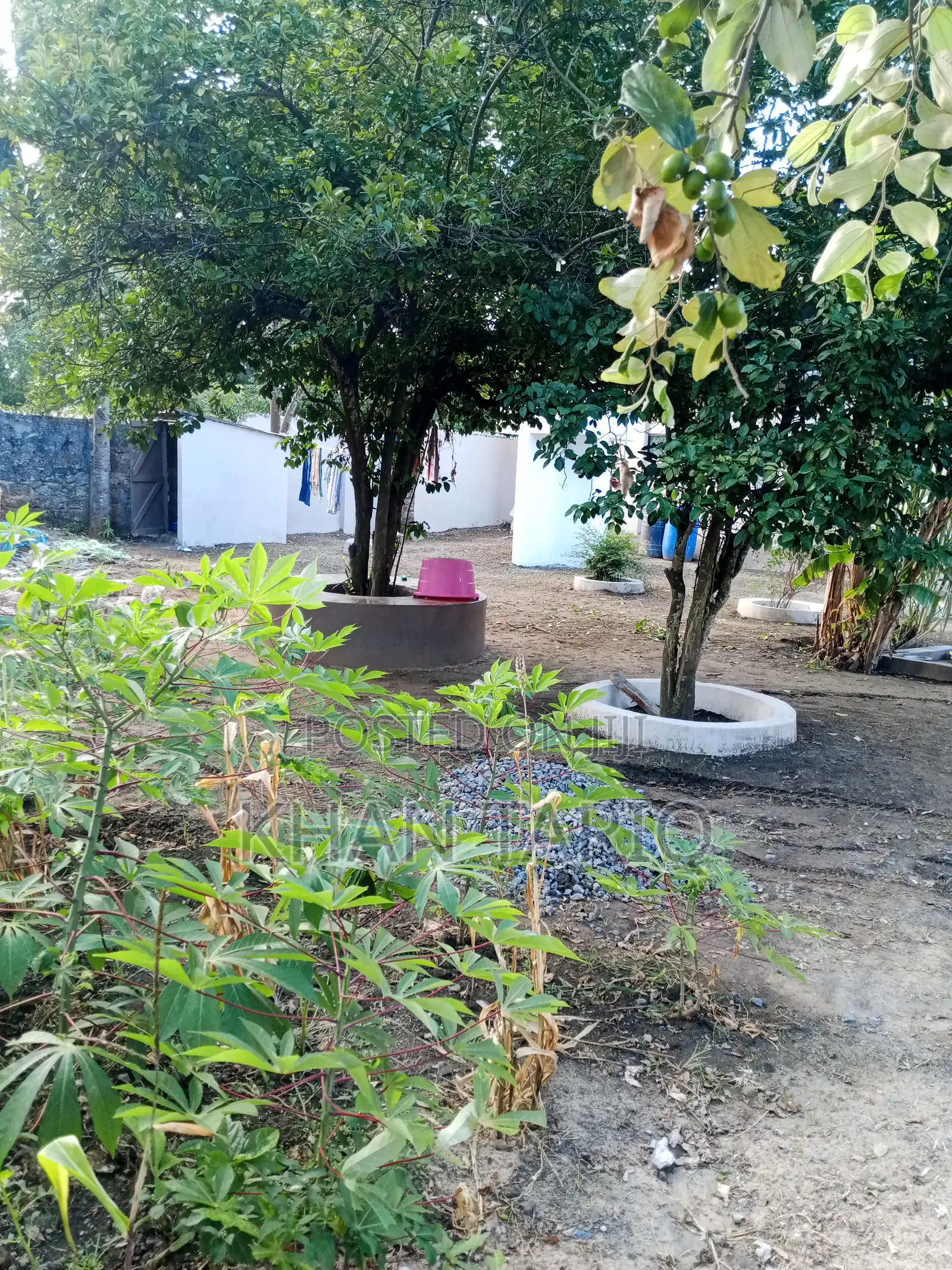 1 Acre Shamba ( Farm With Complete Proper Swahili House ) 40 Millions.