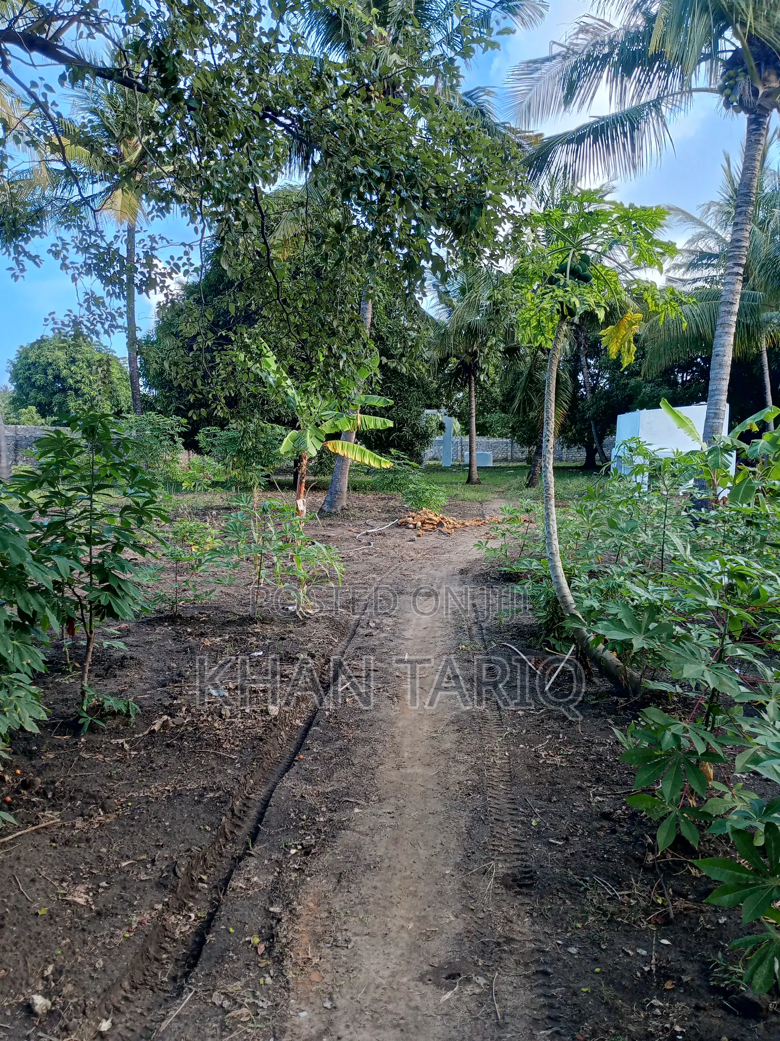 1 Acre Shamba ( Farm With Complete Proper Swahili House ) 40 Millions.