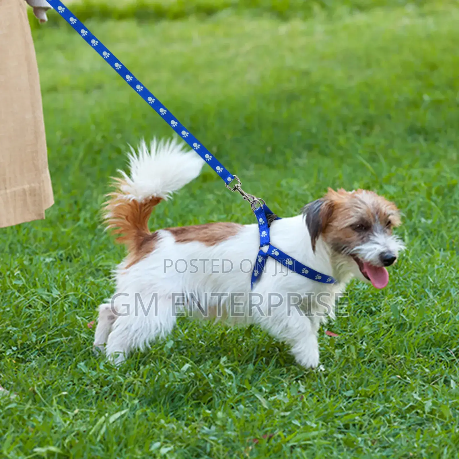 Dog Harness Leash Nylon Paw Print Pet Puppy Strap