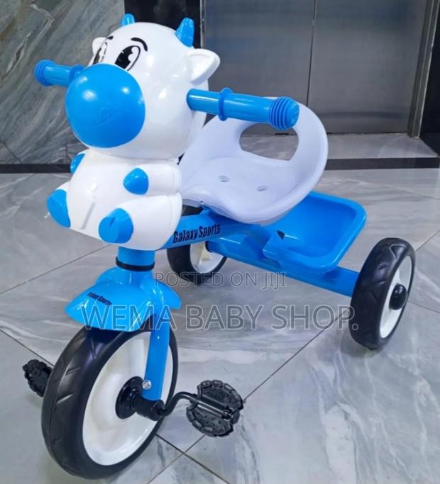 Kids Tricycle With Melody - main view