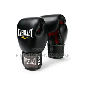 Everlast Boxing Gloves