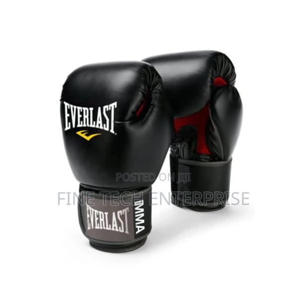 Everlast Boxing Gloves