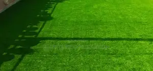 25mm Artificial Lawn Carpet
