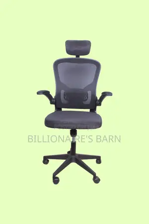 Executive Grey Ergonomic Office Chair — Boosts Posture Focus