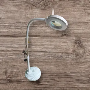 Magnifying Lamp With Adjustable Light