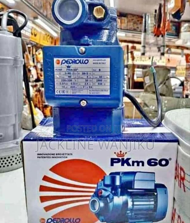 Pedrollo Water Pump Machine 0.5hp Pkm60/ Pedrollo Surface Pump