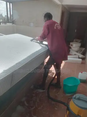 Same Day Sofa Cleaning and Drying