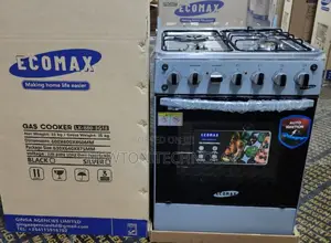 Ecomax 60*60 3+1 Standing Cooker