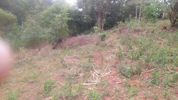 50×100 Plot - main view