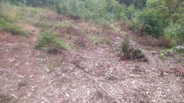 50×100 Plot - thumbnail 2