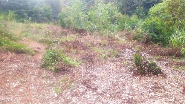 50×100 Plot - thumbnail 3