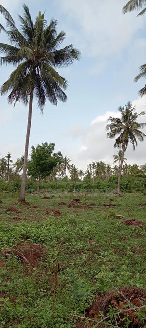 Land for Sale - thumbnail 2