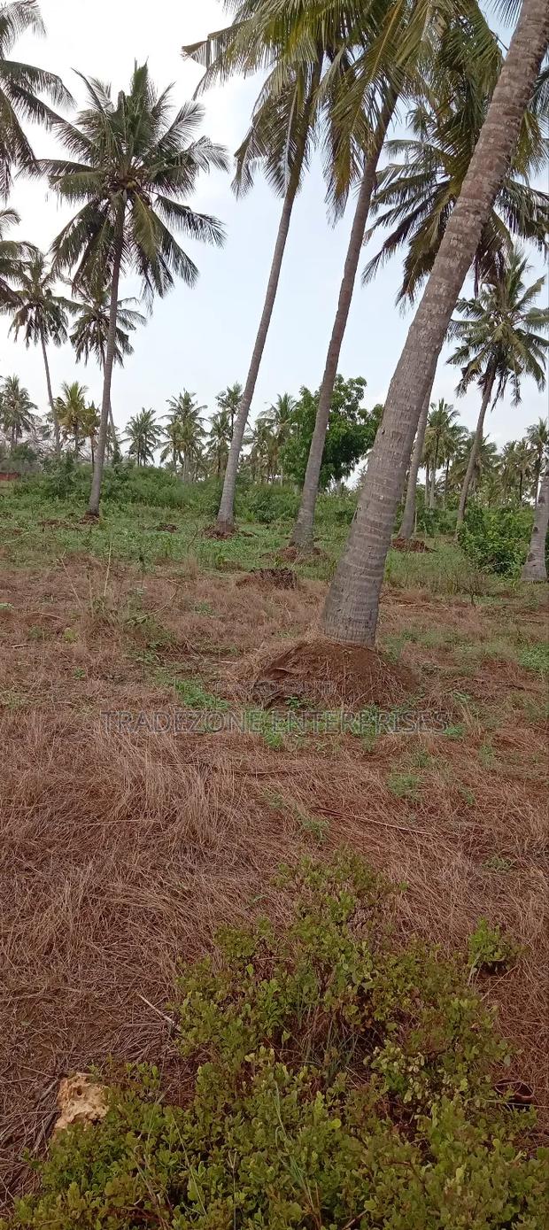 Land for Sale - thumbnail 3