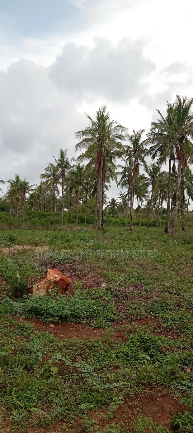 Land for Sale - thumbnail 4