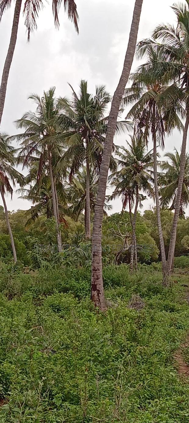 Land for Sale - thumbnail 6