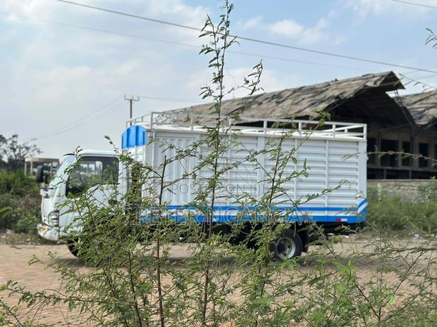 Isuzu NPR Local 2019 - thumbnail 4
