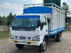 Isuzu NPR Local 2019
