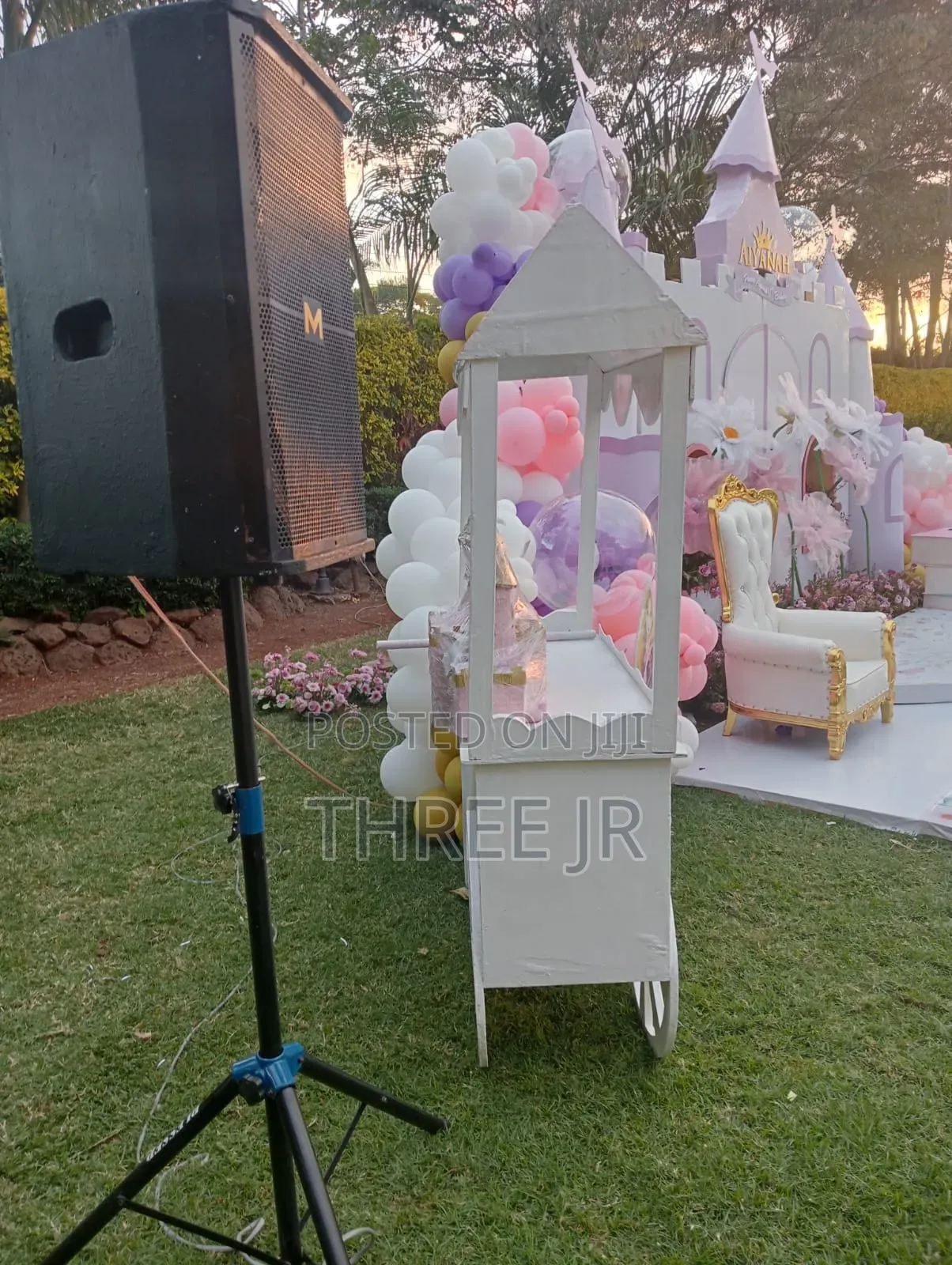 Sound Package for a Party Event We Deliver Quality