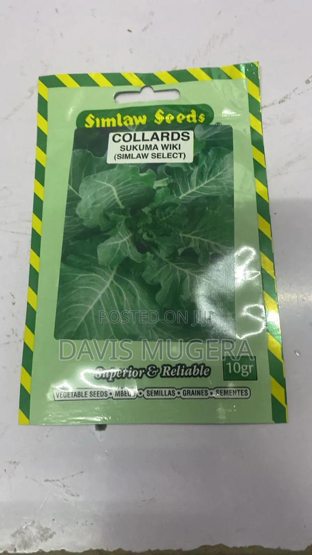 Simlaw Seeds for Collards "Sukuma Wiki (Simlaw Select)" Variety -10gm