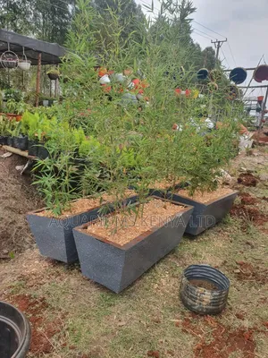 Concrete Flower Vases,Troughs