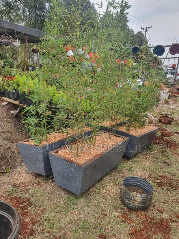 Concrete Flower Vases,Troughs