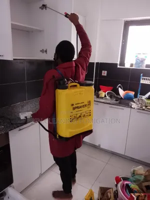 Syokimau Fumigation Done Right