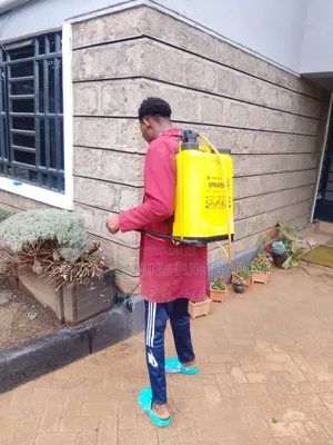 Entire House Fumigation Services
