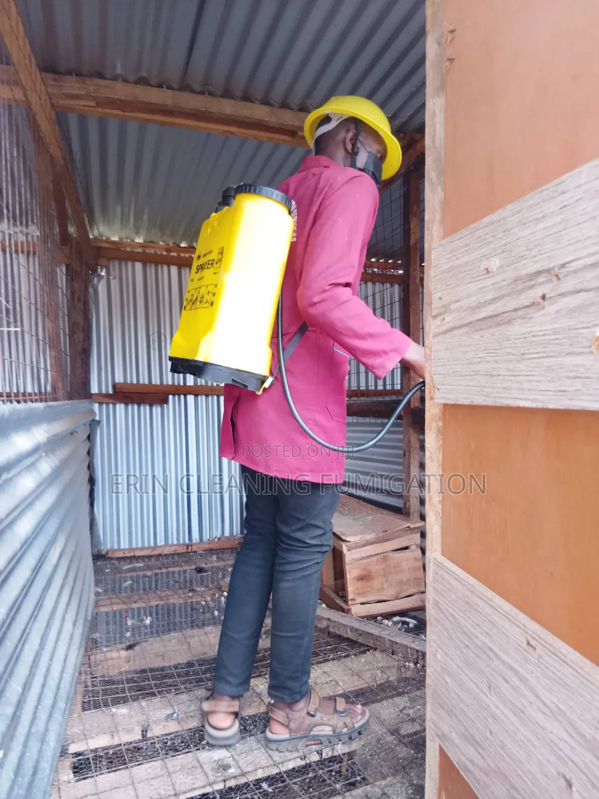 Cleaning and Fumigation Regularly