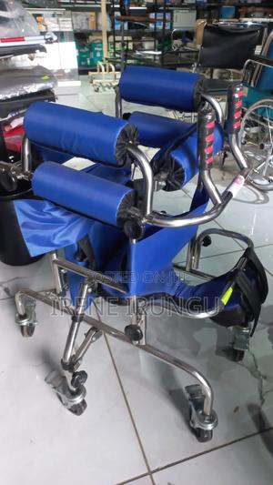 Walking/Standing Wheel Chair - main view