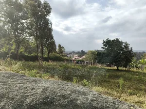 Prime Quarter Acre Plot in Ngong Seketo. Red Soil With Panoramic View